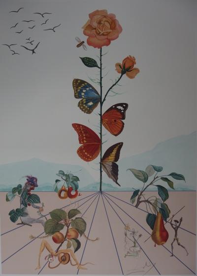 Salvador DALI - Flordali II, La mariposa rosa, 1981 - Litografía original firmada 2