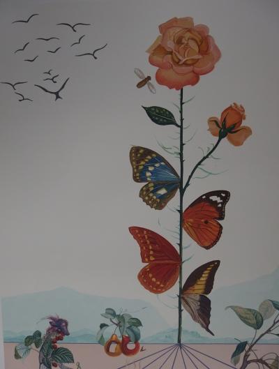 Salvador DALI - Flordali II, La mariposa rosa, 1981 - Litografía original firmada 2