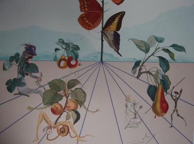 Salvador DALI - Flordali II, La mariposa rosa, 1981 - Litografía original firmada 2