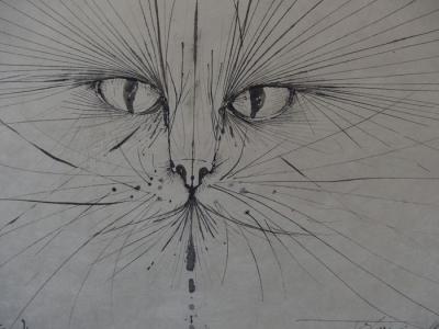 Pierre Yves Tremois Visage De Chat Dessin Original Signe Contemporary Art Plazzart