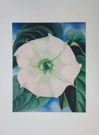 Georgia O KEEFFE after Jimson Weed White Flower Lithograph