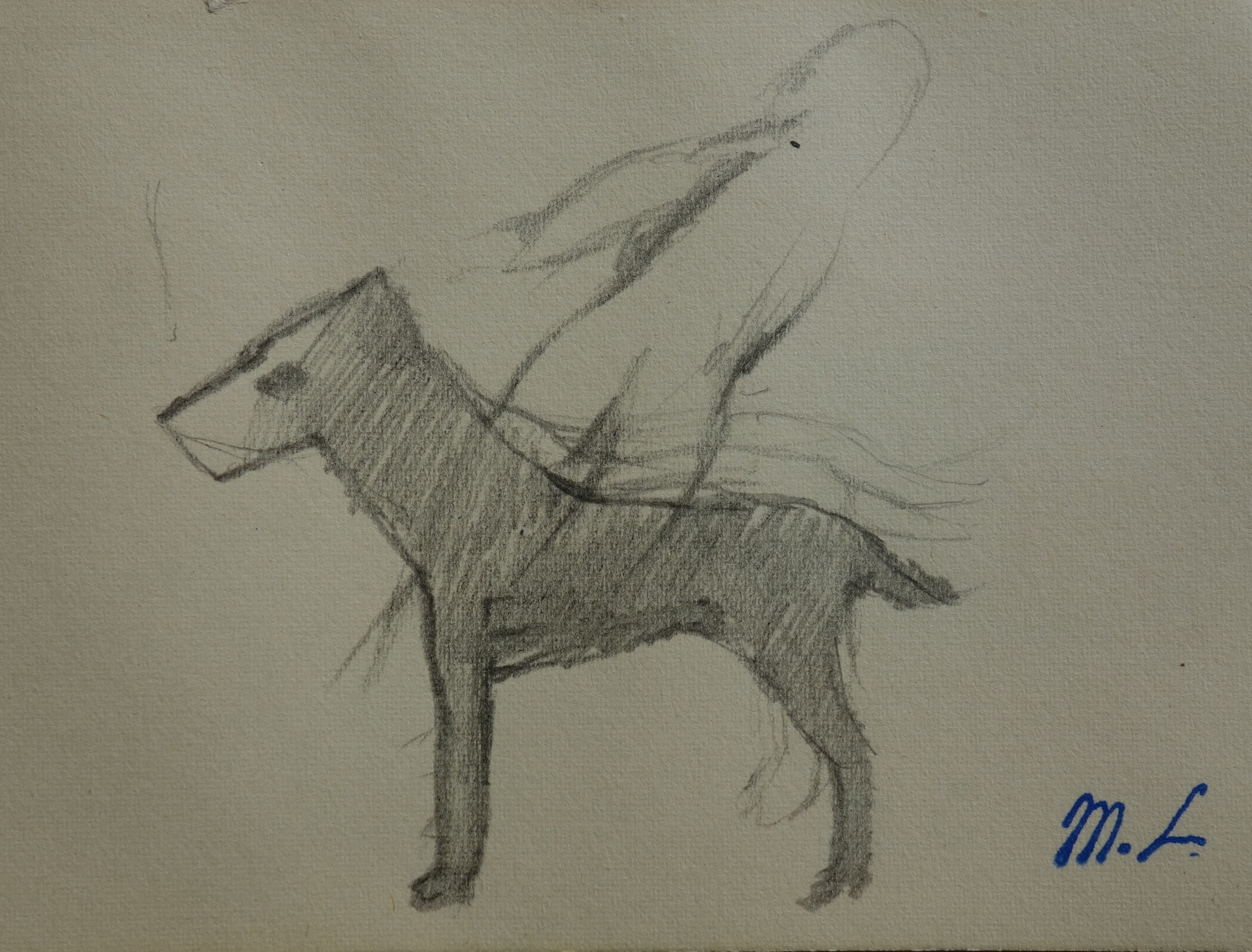 Marie LAURENCIN: Young dog, signed original drawing - Post War