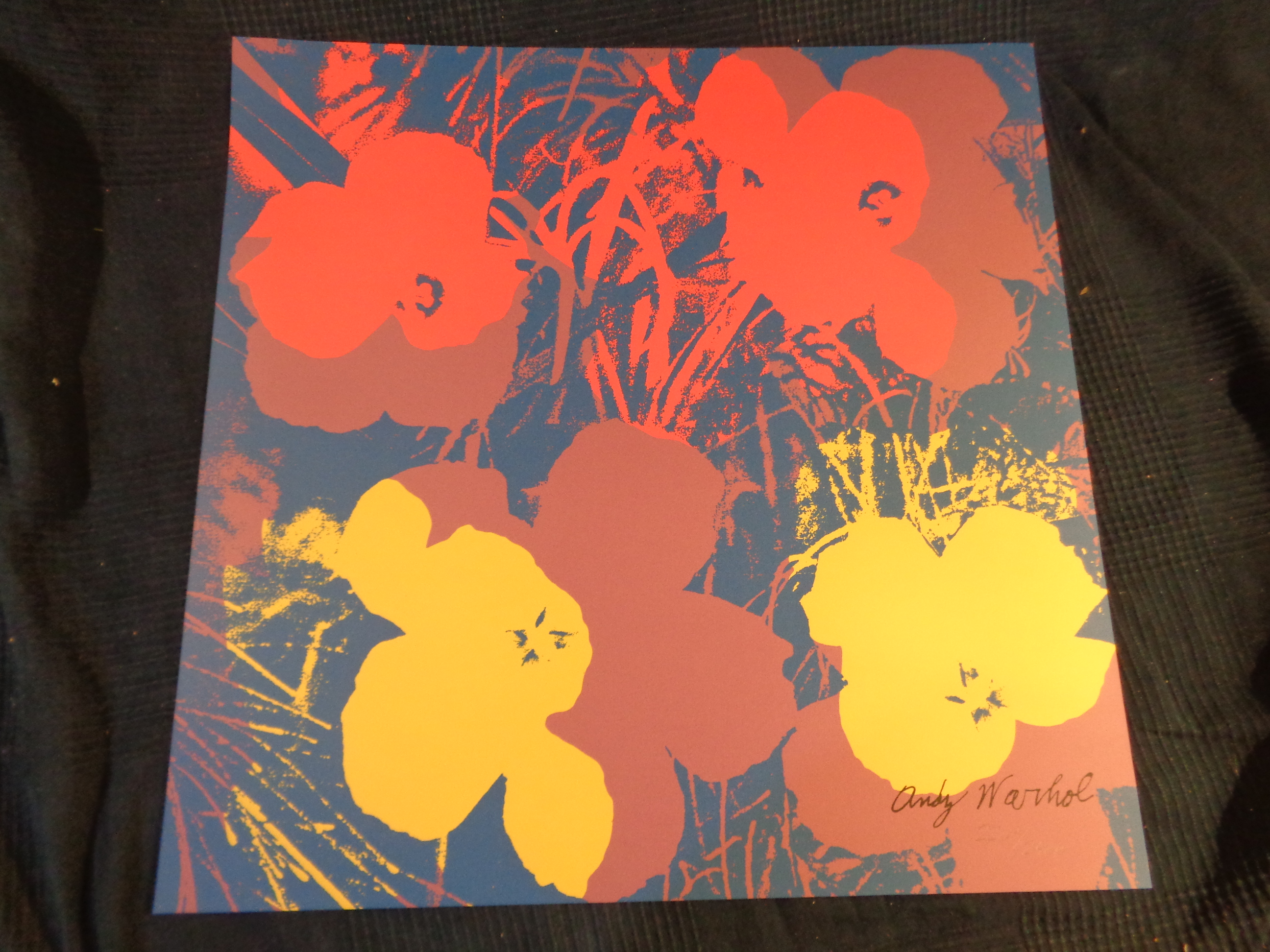 Andy Warhol Lithographie Poppy Flower Bleu Tampon Du Cmoa Signature Dans La Planche Post War Modern Art Plazzart