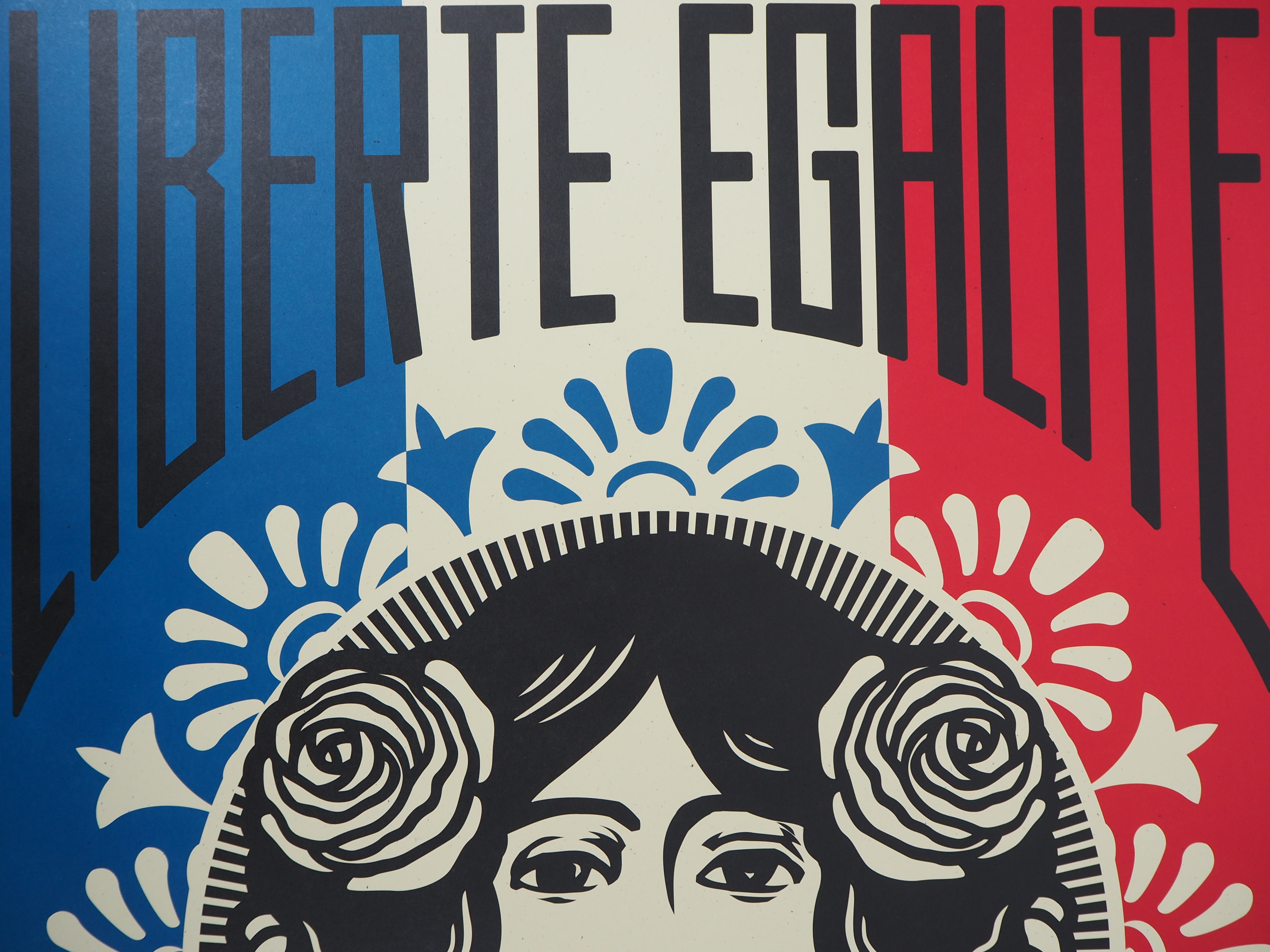 Shepard Fairey Liberté Egalité Fraternité Lithographie Signée Avec Certificat Bonus 7545