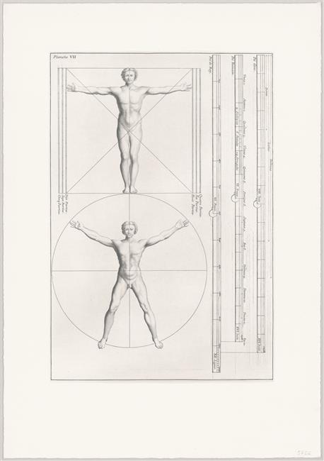 Anonimo Le Proporzioni Del Corpo Umano Acquaforte E Bulino Arte