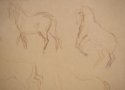 Raoul Dufy - Etudes de chevaux et cavalier - Dessin original